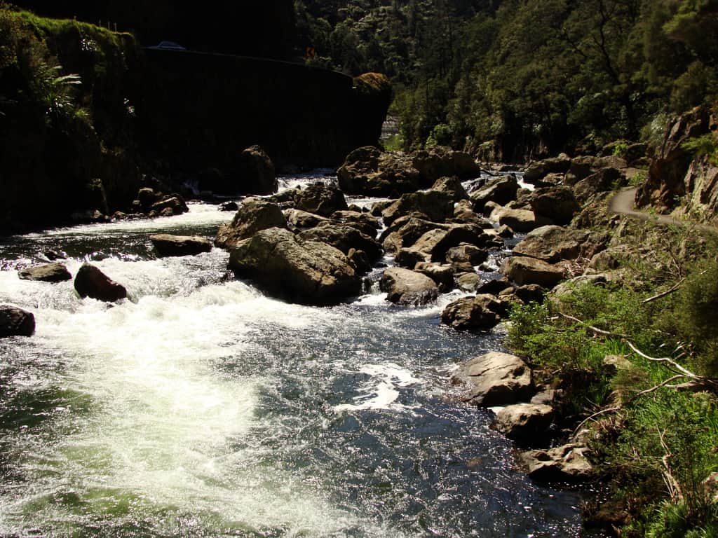 Karangahake Gorge Reserve