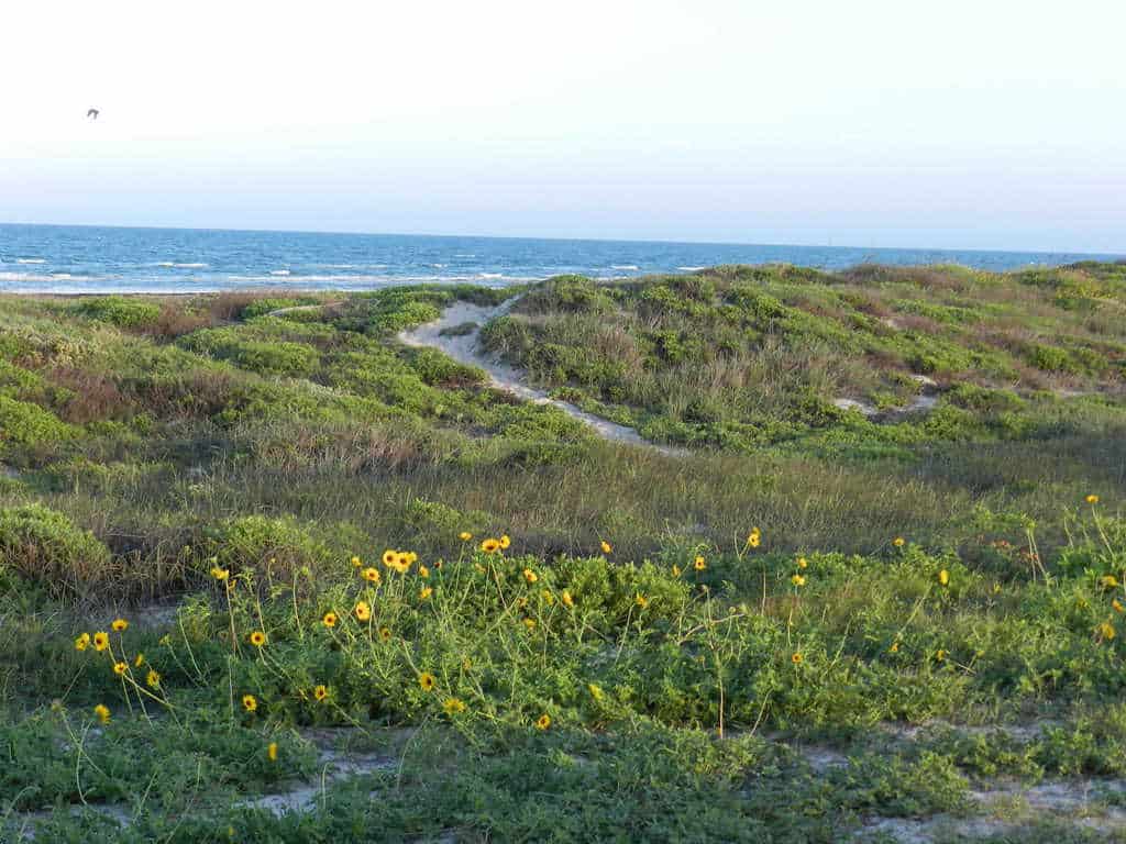 North Padre Island