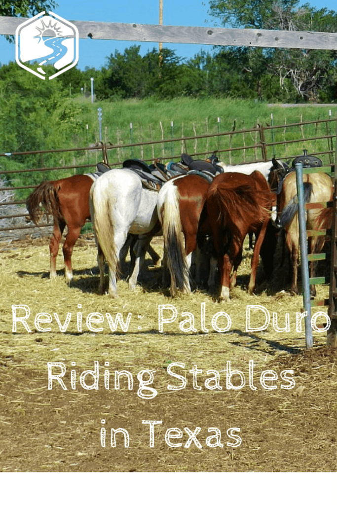 Horses at the Palo Duro Riding Stables in Texas