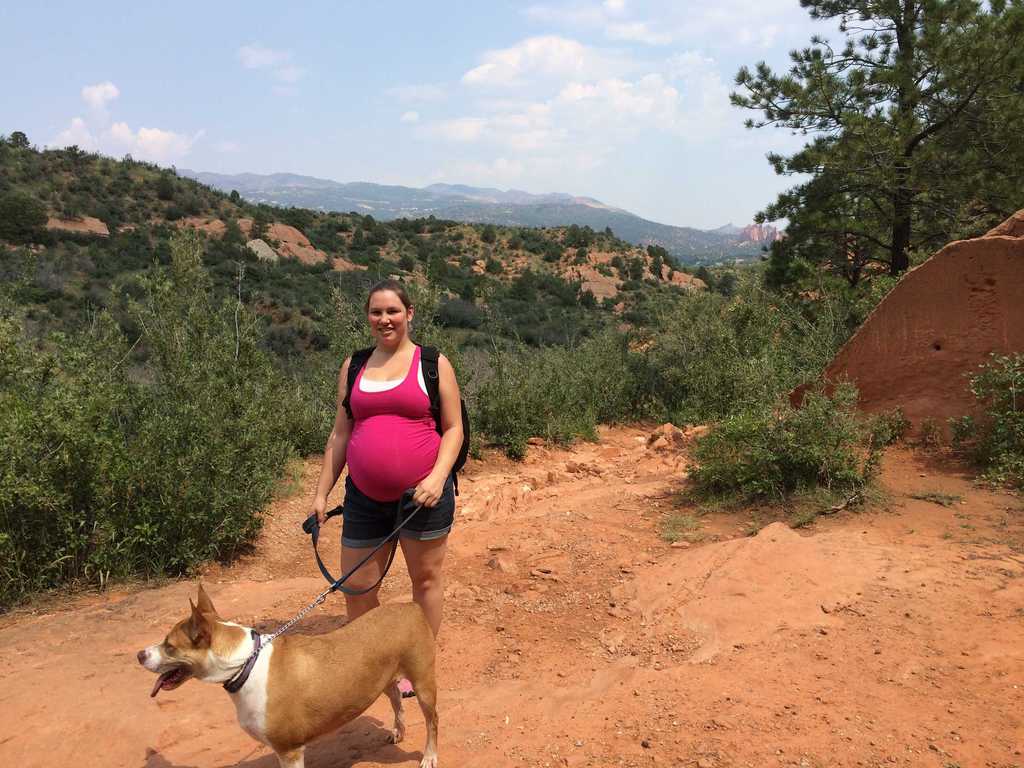 traveling pregnant