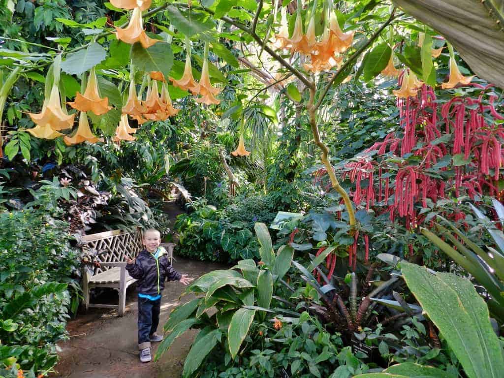 Denver Botanic Gardens