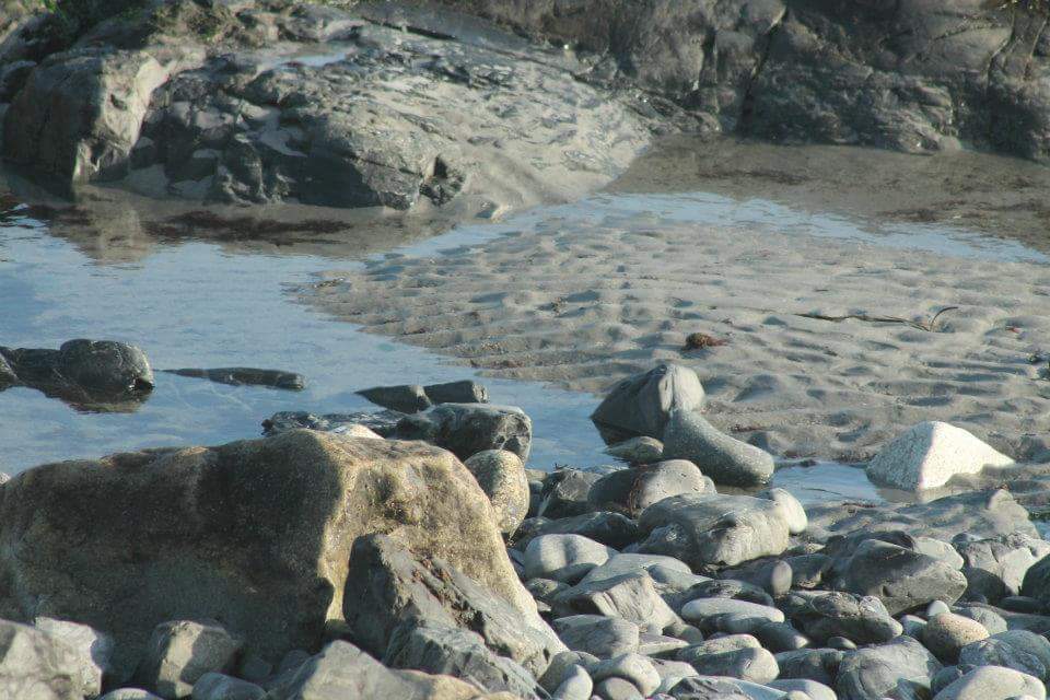 Colony Beach in Kennebunkport, Maine