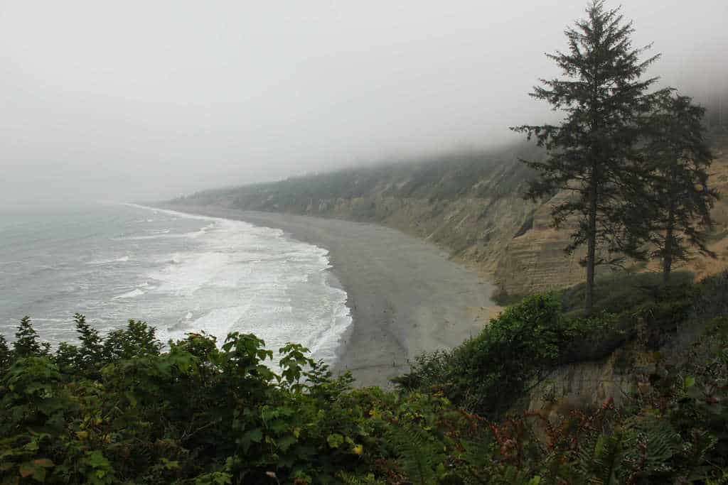 California State Park Patrick's Point beach