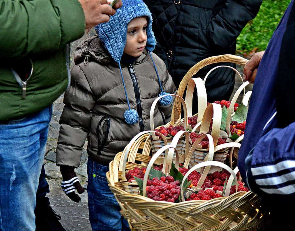 Little boy with raspberries in Sinaia, Romania