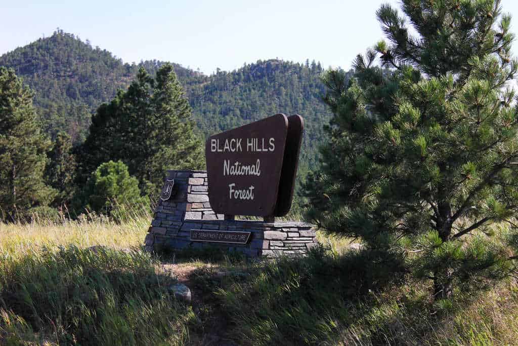 Custer is in the Black Hills of South Dakota.