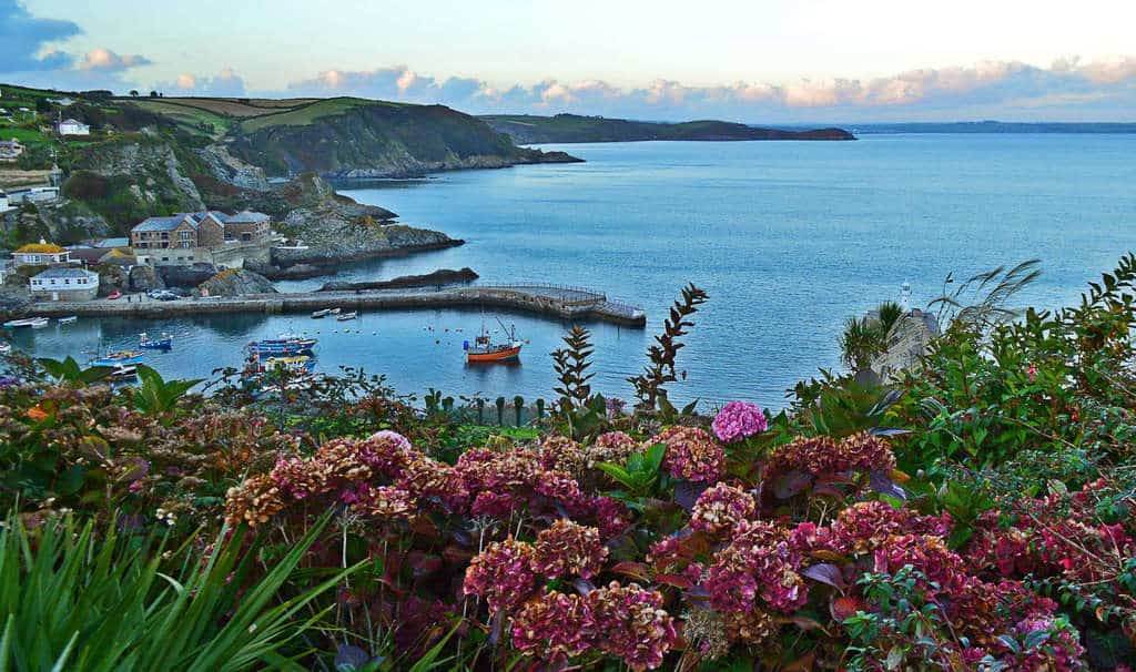 Coastline of Cornwall, England with flowers