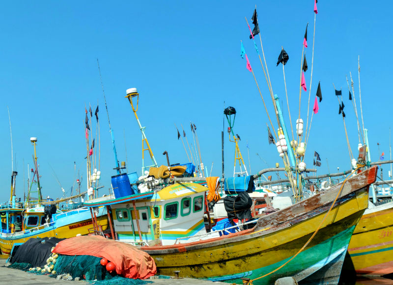 sri lanka fishing boats near mirissa sri lanka by eileen cotter wright