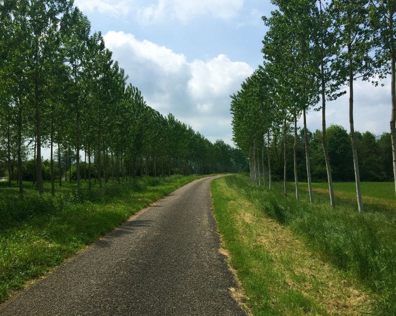 bike path in La Truchère france eileen cotter wright