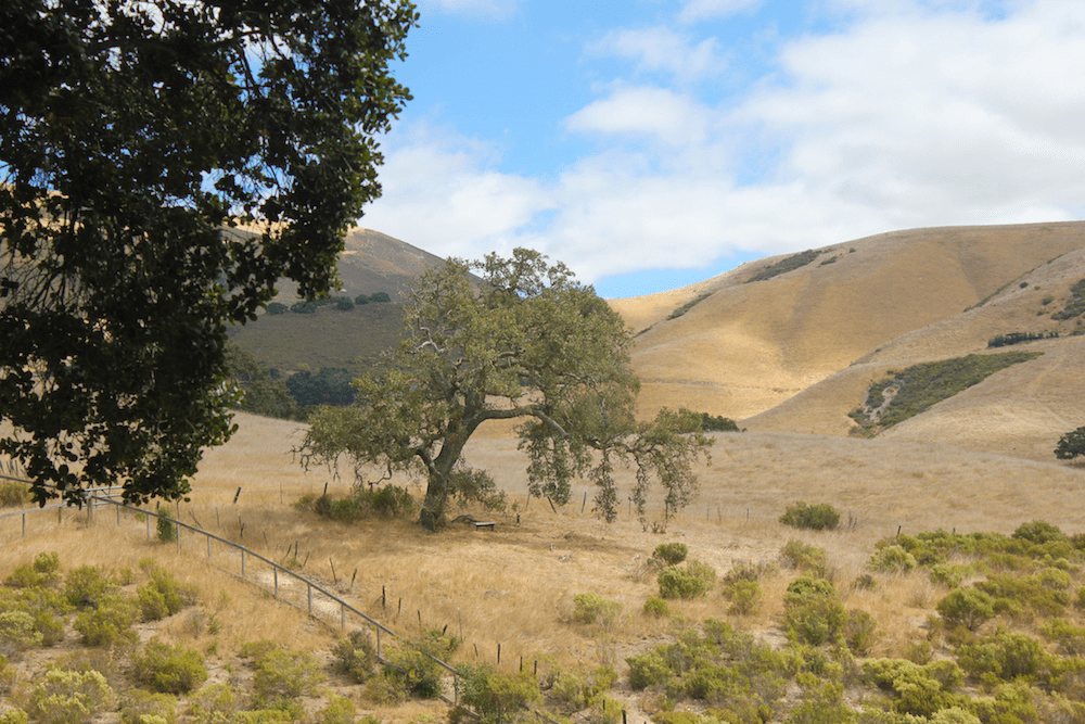 Carmel Valley