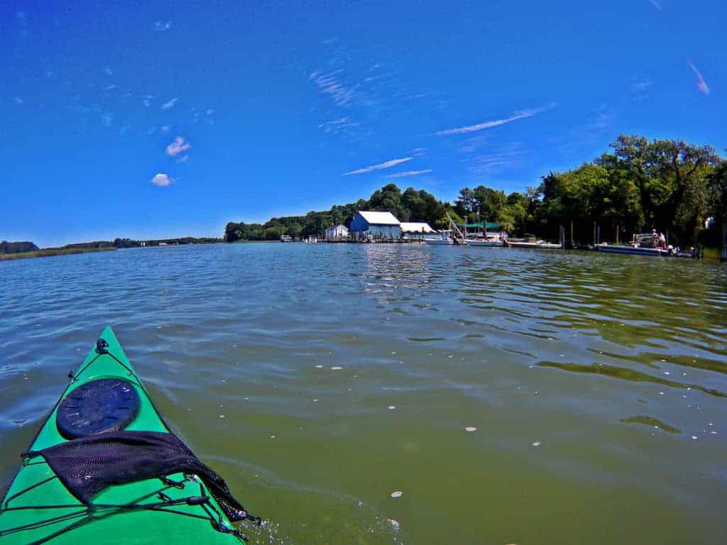 kayaking-eastern-shore-virginia-jake-wright