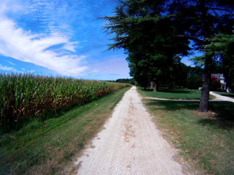 path-to-chatham-winery-virignia-jake-wright