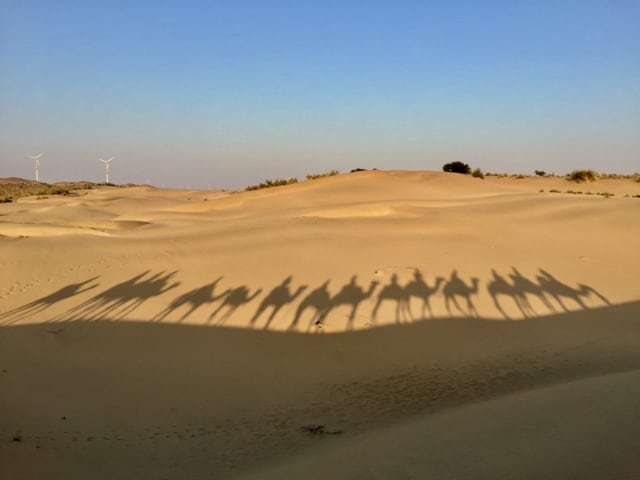 Thar Desert