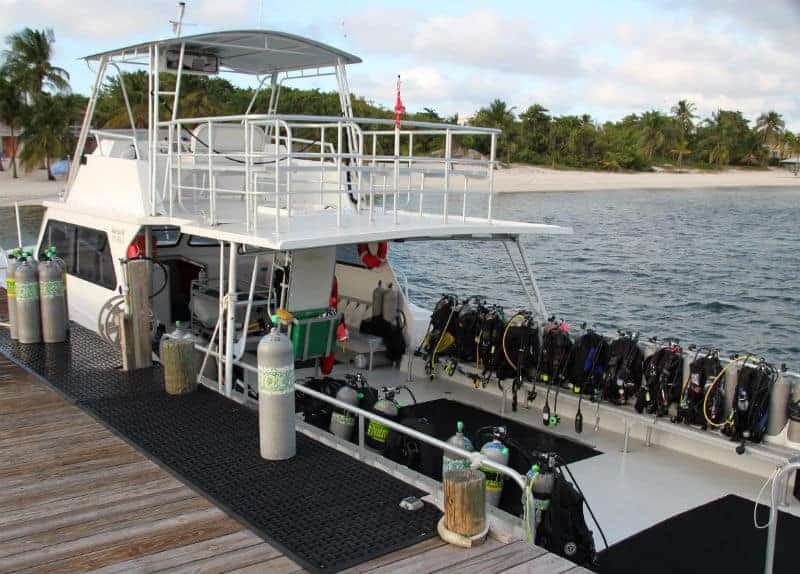 dive boat little cayman diving