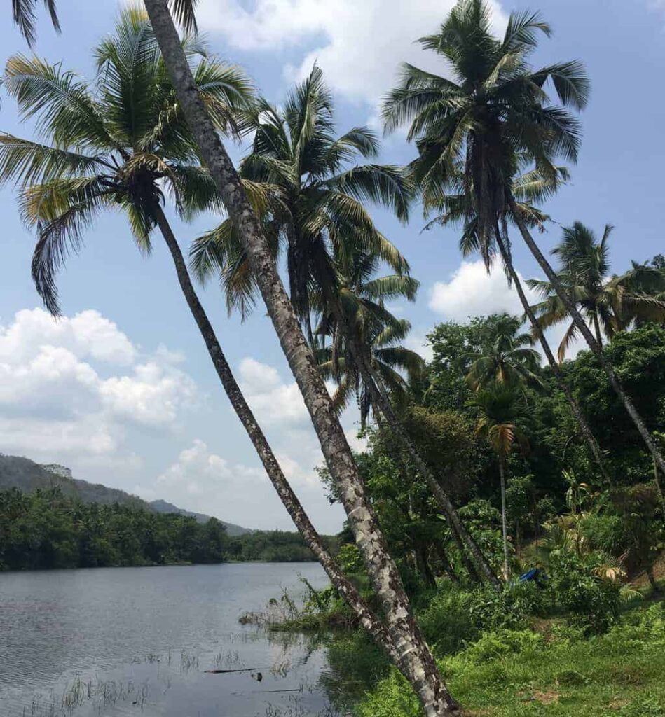 picture front river house kerala india