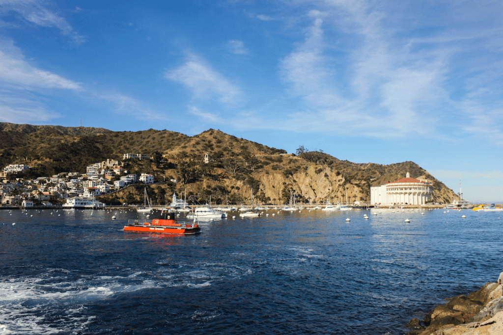 Catalina Island landscape