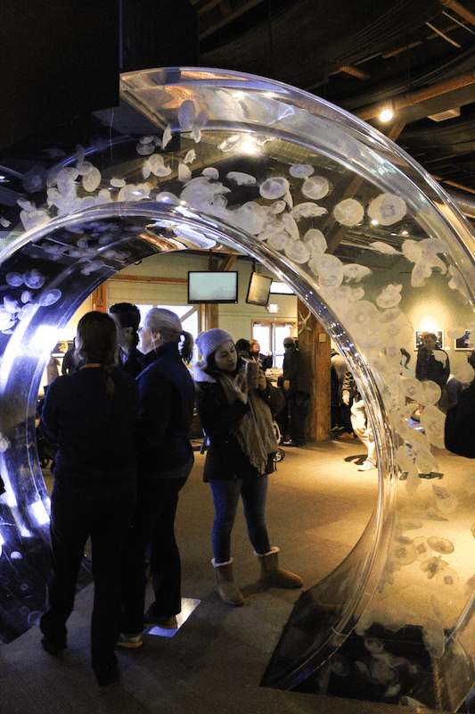 Seattle Aquarium