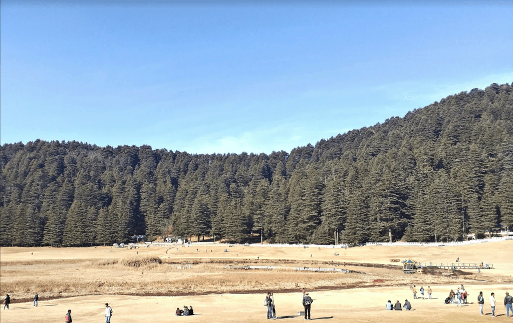 landscape photo with brown land and trees from India by Somanth