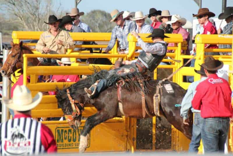 bucking bronco texas