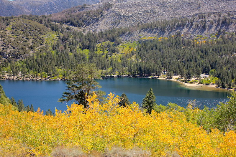 Rock Creek Lake near Mammoth