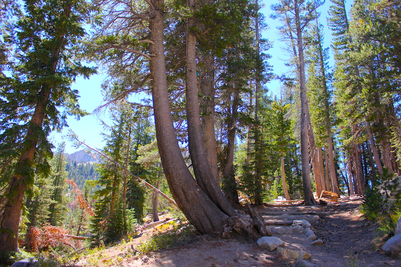 hiking at Mammoth Mountain