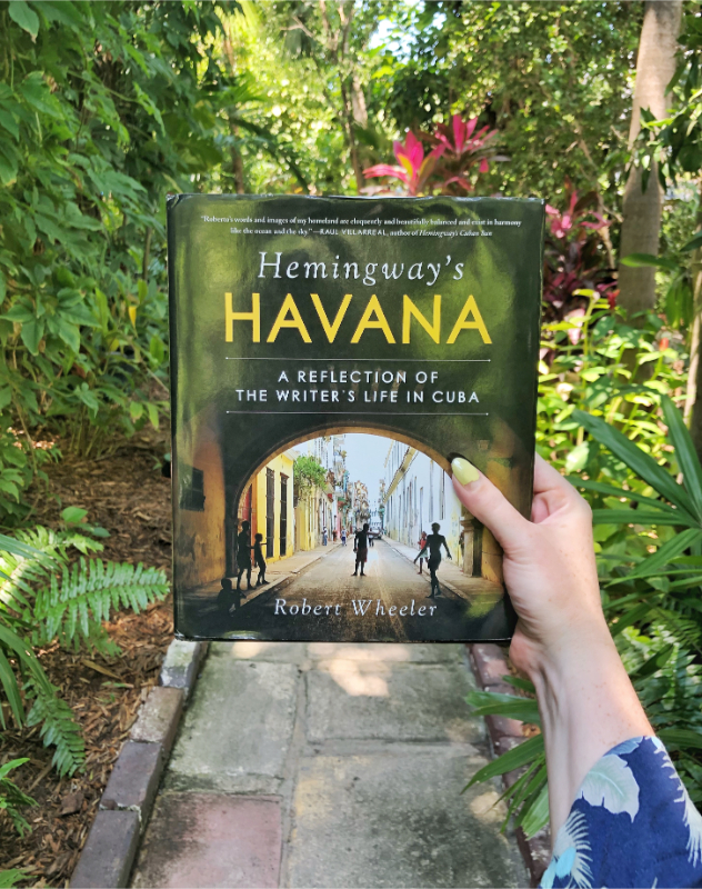 Hemingway's havana by Robert wheeler at Hemingway House Key West Florida