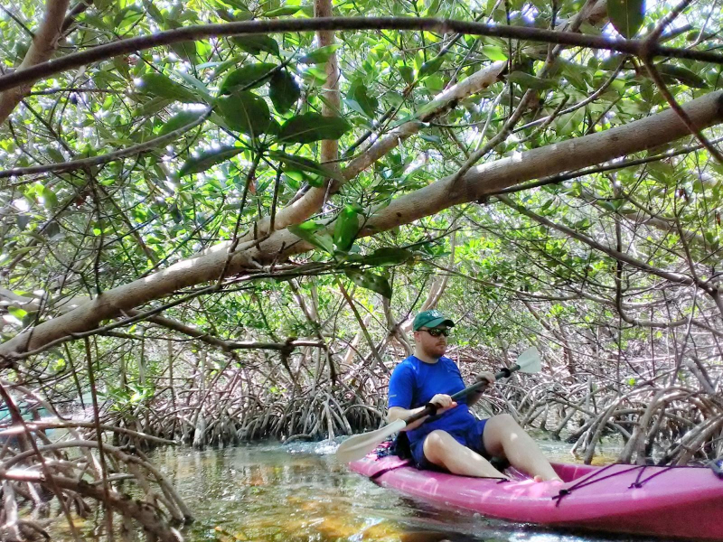 Kayak eco tour marathon key florida