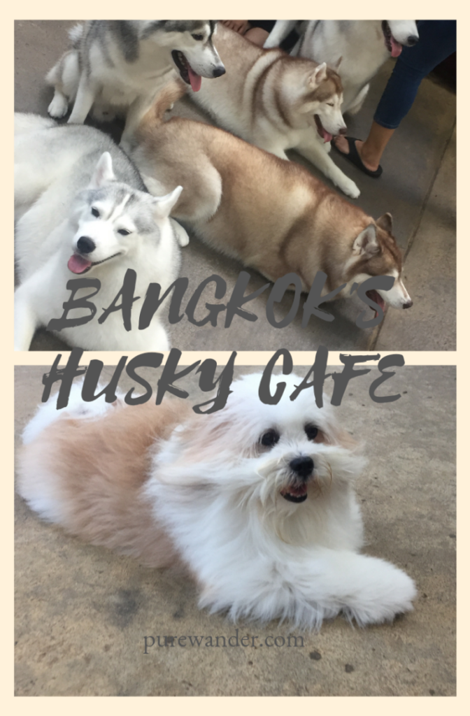 husky cafe bangkok