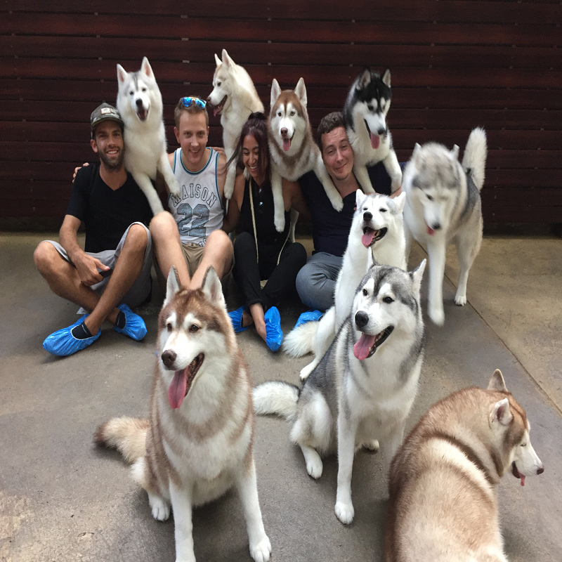 group photo husky cafe bangkok