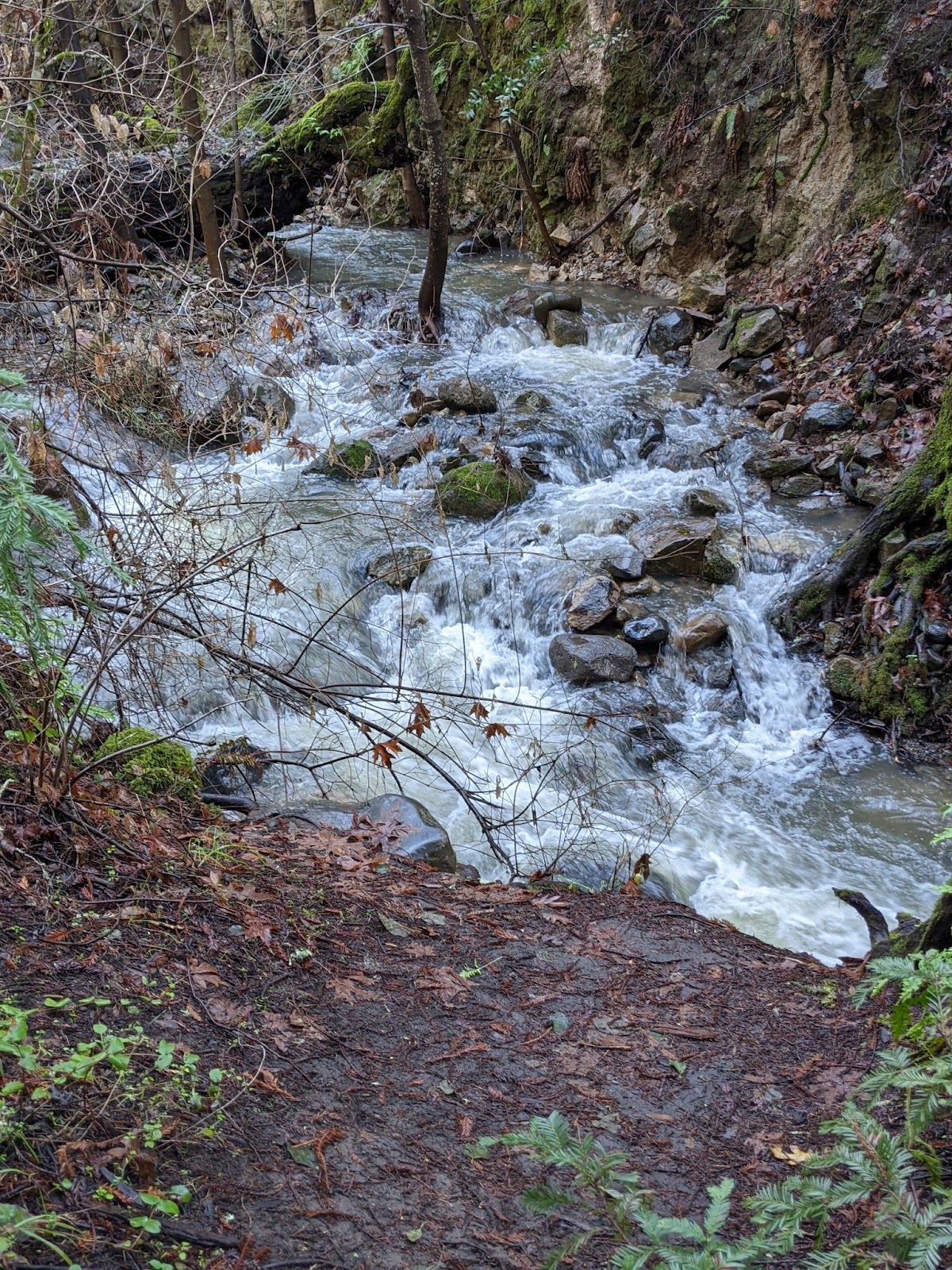 waterfall in napa valley