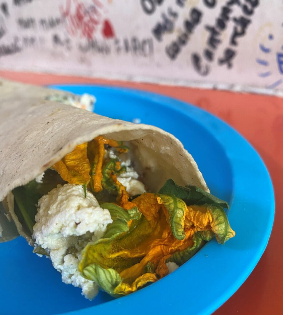 squash blossom burrito taco in oaxaca mexico