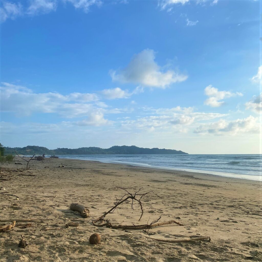 beach nosara costa rica