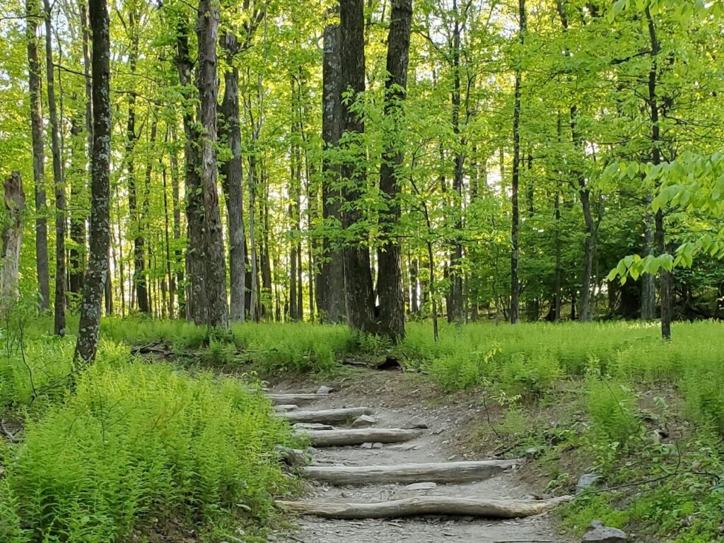 Annapolis Rock Hike near Frederick