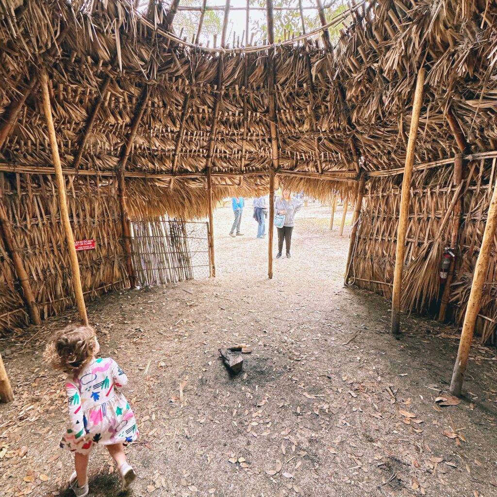 Timucua home at st augustine